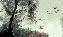 辛丑年后面一年是什么年