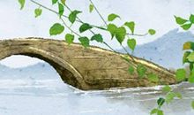 2021年为什么是寡妇年