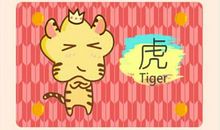 牛年过后是什么年属相