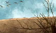 2021年辛丑年什么时候开始