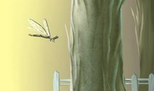 2021年打春时间到几点