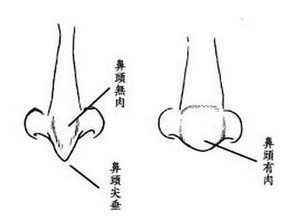 什么是善良的人