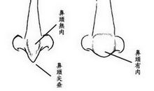 什么面相的人心地善良