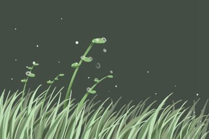 隐含含义的暮色是什么？