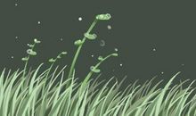 白露节气的含义是什么二十四节气