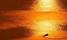 郑博士：今明吉凶播报6.23