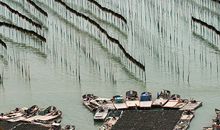 2018年事业运出色 时来运转的生肖