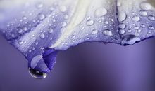 7月男女桃花早知道