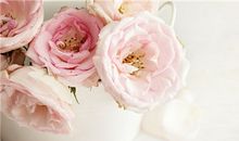 2020未来半年财星高照的生肖