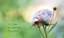 郑博士：今明属相运势简报12.23