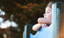 郑博士今日生肖运势2019.12.12