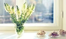 非常运势网本周生肖运势(2.25-3.3)