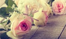 2017年6月份生肖猪运程