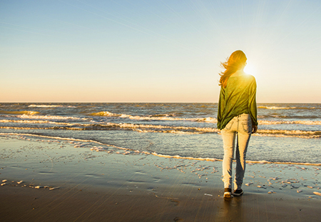 十二生肖在一周内（11月26日至12月2日）