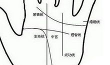 不好的手相大全