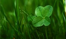 郑博士今日生肖运势2020.2.19