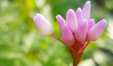 属牛巨蟹座2018年运势