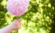 2019年农历八月生肖戌狗流月运势