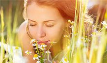 2020年12生肖的幸福指数