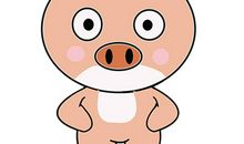 属猪人2018年运势