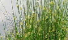 郑博士：今明吉凶播报5.19