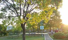 1959年属猪的人2018年运程