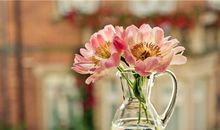 霜降过后哪些生肖开始翻身?逆袭人生