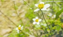 每周运势提前报(5月8日—5月14日)