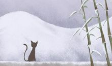 2021年什么时候入九