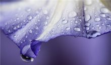 2018年生肖兔官运哪几个月最旺?