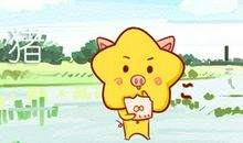 属猪2021最佳旺运颜色是什么