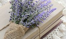 结婚之后能够一同创业的生肖女