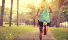 农历十月生肖寅虎流月运势