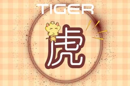 Tiger Jinurus 2021操作和询问