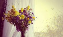 郑博士本周生肖运势(3.11-3.17)