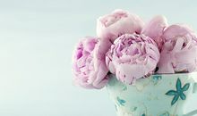 睿智且精明的3个生肖