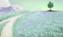 属马命中注定的另一半 生肖配对