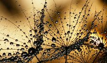 郑博士：今明吉凶播报7.28