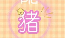 属猪2021年哪个月最吉利 能走好运