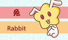 生肖属兔的人2021年整体以及每月运程完整版