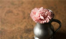 婚后体贴入微的3个生肖女