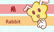 属兔2021财运在哪个方位