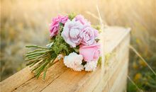 属蛇白羊座2019年运势