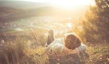 郑博士：今明属相运势简报12.7