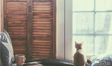 婚后招婆婆疼爱的生肖女