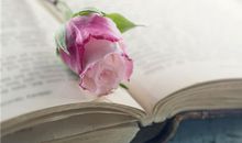 郑博士今日生肖运势8.31