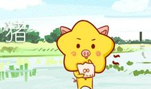 为什么2021年属猪的是一个坎