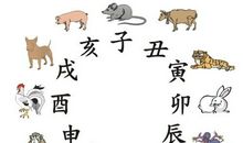 非常运势网本周生肖运势(8.19-8.25)