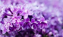 每日运势播报3月9