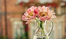 郑博士：今明属相运势简报2.4